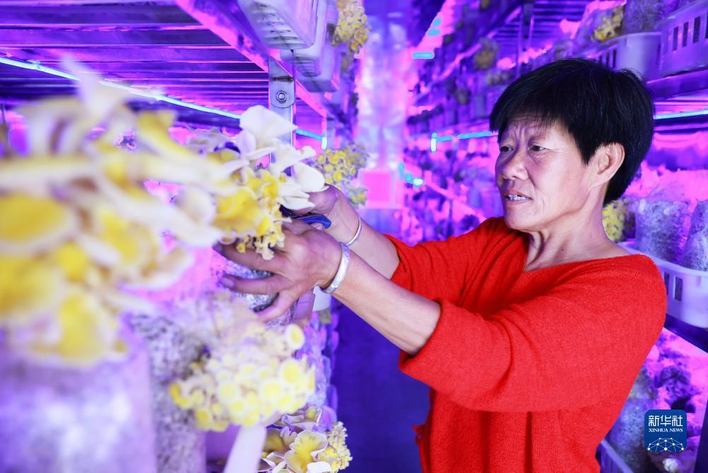 澳门千炮捕鱼